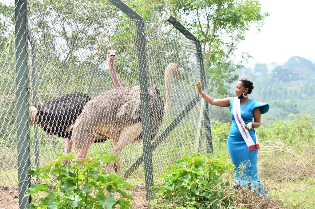 Serene Accommodation and Facilities