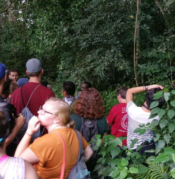 Nature Walk