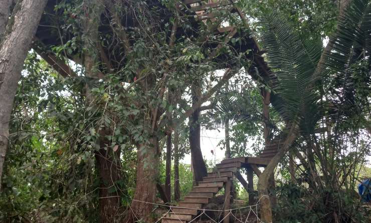 Margherita Hanging Cottage The Tree Top Paradise Chakig Eco Tourism Centre to setup zoo in Mukono
