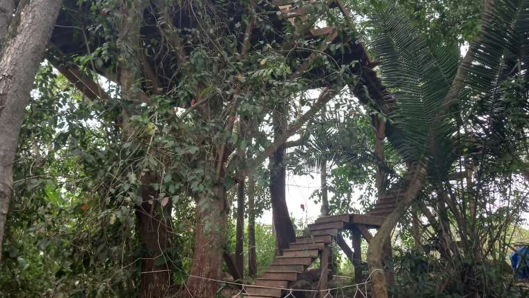 Margherita Hanging Cottage The Tree Top Paradise Chakig Eco Tourism Centre to setup zoo in Mukono