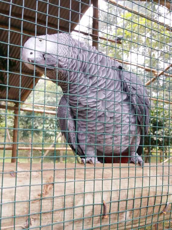 Conservation at Chakig Eco-Tourism Centre
